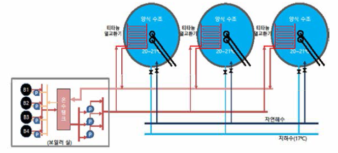 Heating system for sexual maturation of S. quinqueradiata broodstock