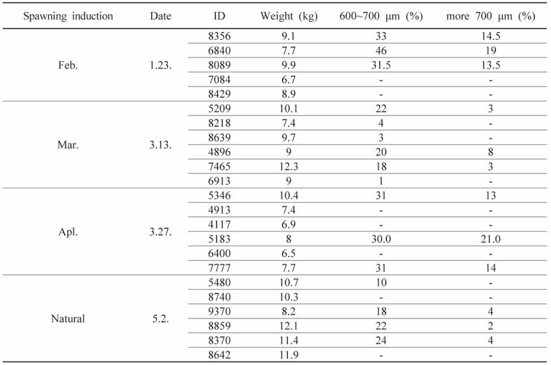 Investigation of maturity status of individual eggs of S. quinqueradiata broodstock experimental group in 2019