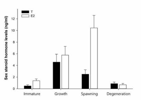 Investigation of sex hormone level in maturity period of female S. quinqueradiata