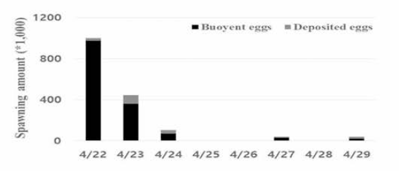 Floating rate of fertilized eggs according to spawning period