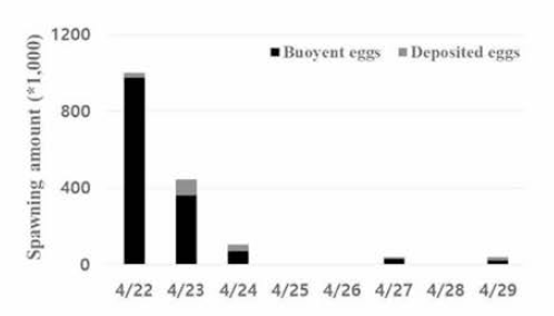 Floating rate of fertilized eggs according to spawning period