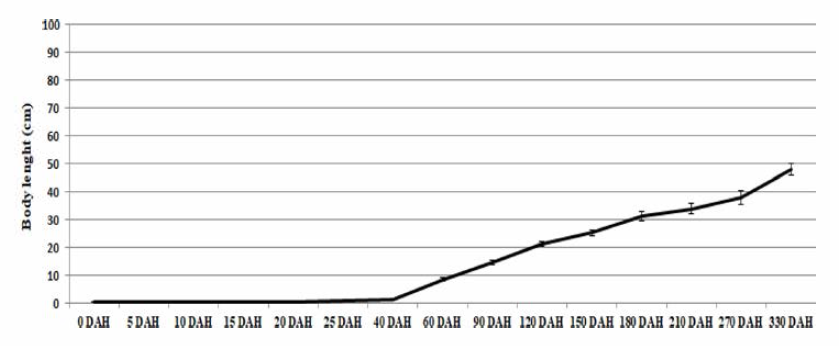 Growing rate of S. quinqueradiata artificial seeds produced in 2019