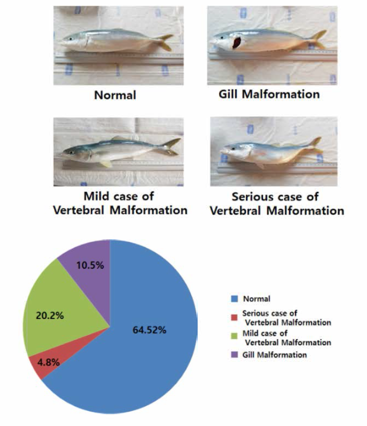 Type and rates of external malformation of the young fishes in 2019