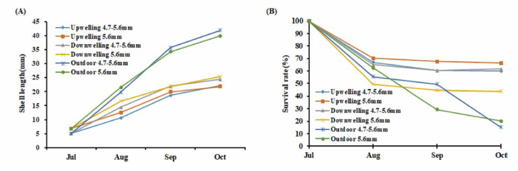 Growth and survival rate of the triploid individual oyster spats raised in indoor (up-welling and down-welling system) and outdoor nursery culture. A, Growth rate; B, Survival rate