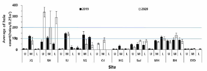 Comparison of the number of shrimp holes in the mud shrimp habitats with fall survey results between 2019 and 2020