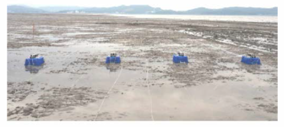 Field test of the effectiveness of LED light for mud shrimp collection