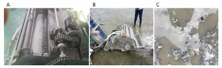 Clam collecting part of 2nd prototype manila clam harvesting equipment (A). B, Field application test at Gochang tidal flat; C, Crashed manila clams