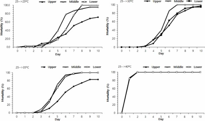 Mortality of the manila clams collected from different intertidal zone under high temperature stress