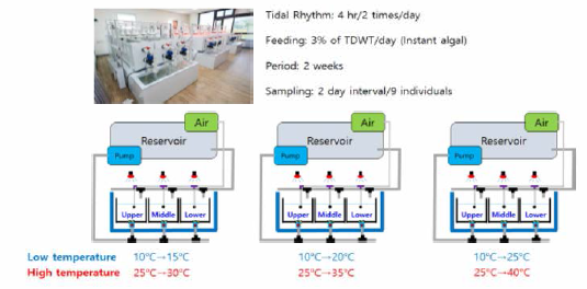 Schematic diagram of indoor tank experiment for high and low temperature stress survey and their experimental conditions