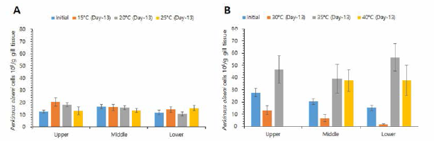 P. olseni infection intensity changes of the manila clams under high and low temperature stress condition. A, low temperature stress condition; B, high temperature stress condition