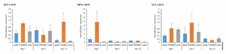 Fluctuation of HSP70 gene expression of the manila clam under low temperature stress condition