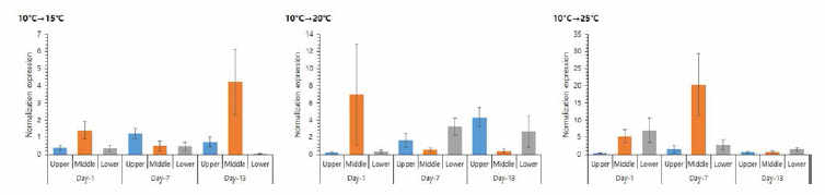 Fluctuation of RpFeH gene expression of the manila clam under low temperature stress condition