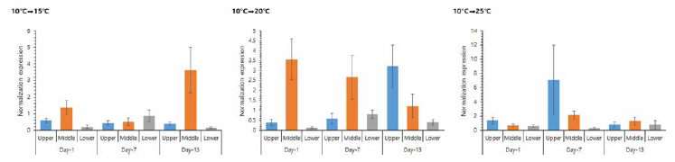 Fluctuation of TRAF6 gene expression of the manila clam under low temperature stress condition