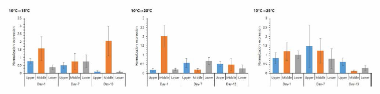 Fluctuation of GPX gene expression of the manila clam under low temperature stress condition