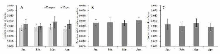 The condition indices of common cockle, Chinese cyclina and surf clam from research area in winter season