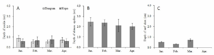Digging depth of common cockle (Taean), Chinese cyclina and surf clam (Boryeong) in winter, 2017