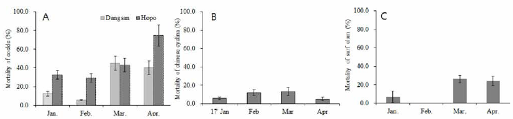 The Mortality rate of common cockle (Taean), Chinese cyclina and surf clam (Boryeong) in winter, 2017