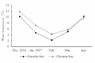 The surface water temperature of Cheonsu Bay (Boryeong) and Garorim Bay (Taean) in winter season