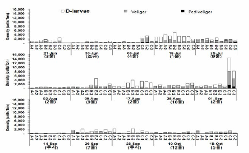 Occurrence of planktonic larvae of the manila clam in seawater in Boryeong