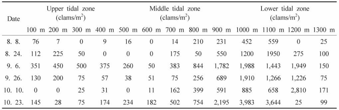 The manila clam spat distribution in Boryeong tidal flat