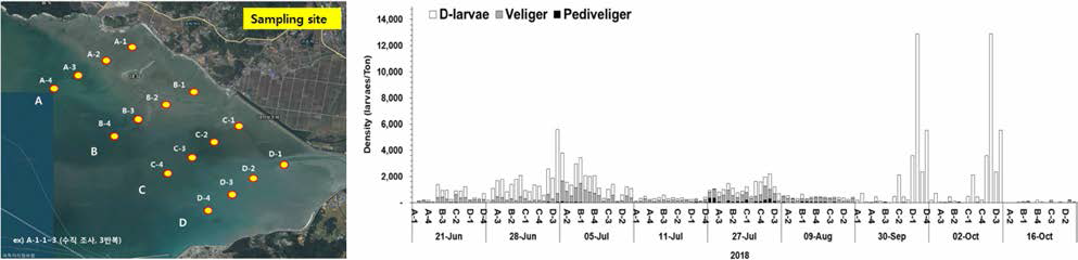 The figure shows the sampling sites for survey of planktonic larvae of the manila clam and their results