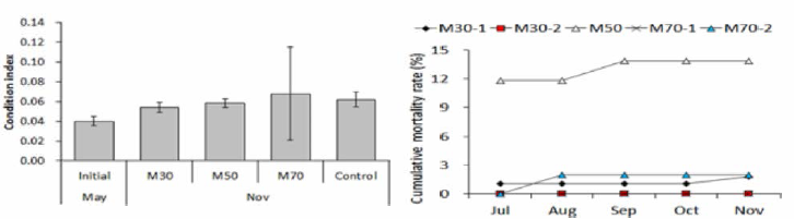 Condition indices and cumulative mortality of Mercenaria mercenaria in experimental pond culture