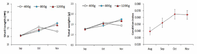 Changes of growth and condition indices of Mercenaria mercenaria according to spat density during underwater hanging culture using basket in earthen pond in Buan