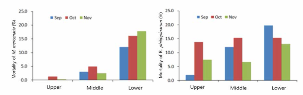 Mortality of Mercenaria mercenaria (left) and Ruditapes philippinarum (right) m Boryeong tidal flats at different tidal level