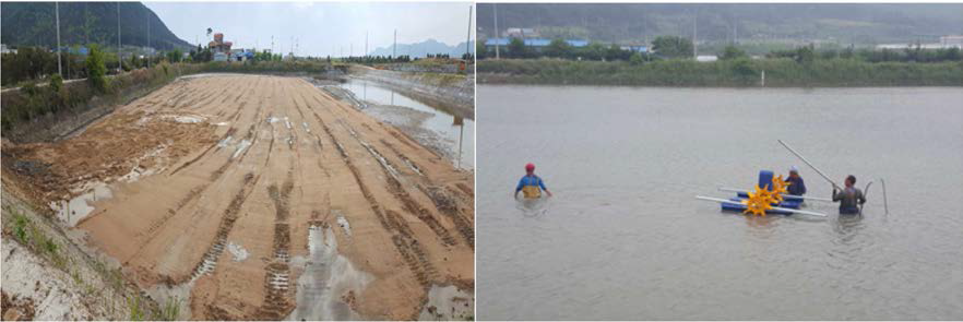 Sand spread (left) and installation of paddle wheel aerator (right) for improvement of water quality of experimental shellfish farm in Gochang