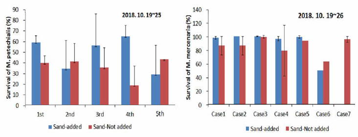 Survival of M. petechilais and Mercenaria mercenaria in sand-added zone and sand-not added zone. 1st, M. petechilais and 3 other clam species; 2nd and 3rd, M. petechilais and 2 other clam species; 4th and 5th, M petechilais and 1 other clam species