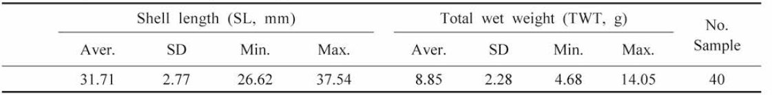 Shell length and total weight of Meretrix petechialis at coarse sand-not added plot in experimental pond in Gochang (Oct. 2018)