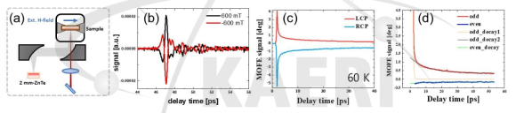 (a) 스핀전류의 시간변화에 따른 발생된 THz파 측정을 위한 셋업 모식도 및 (b) 외부 자기장에 의한 발생된 THz 파의 위상변화, (c) 60 K에서 좌/우원 편광에 따른 TmFeO3에서의 시분해 동역학 및 (d) 폄프 편광에 대해 의존/비의존 효과 분석 그래프