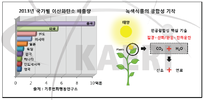 2013년 국가별 이산화탄소 배출량 및 광합성 기작 원리