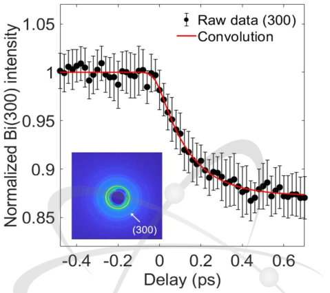 다결정 비스무스 박막시료에 대한 초고속 전자회절 측정을 통해 얻은 (300) 회절 피크의 광여기 후 세기 변화
