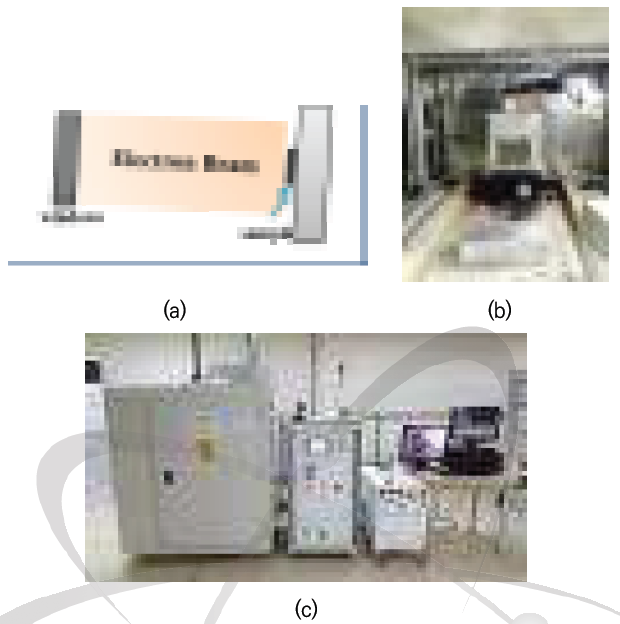 전자빔 시험 개요 (a) 조사 모식도, (b) 전자빔 윈도우, (c) 전자빔 조사장치