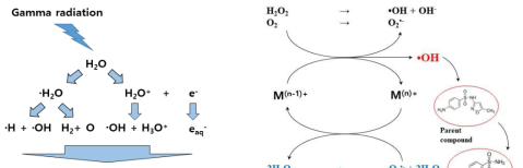 방사선의 물 분해 메커니즘(좌) 및 금속촉매 반응 메커니즘(우)