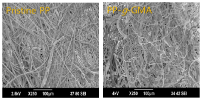 PP(좌), PP-g-GMA(우)의 주사전자현미경 사진