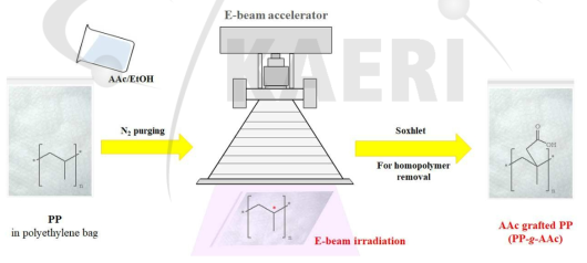 PP 부직포와 AAc의 전자선을 이용한 접목중합 과정