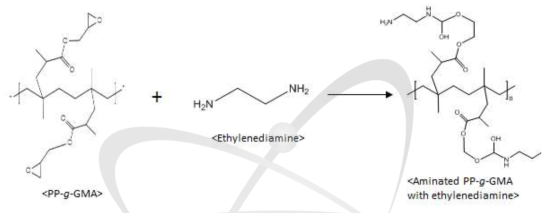 PP-g-PGMA 공중합체의 Ethylenediamine에 의한 아민화