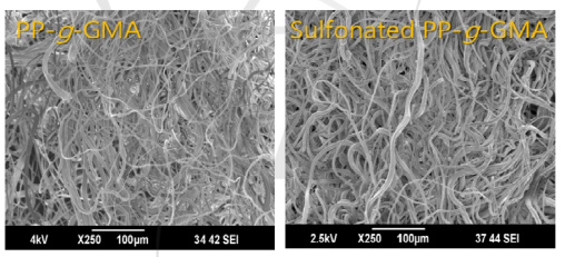 PP-g-GMA(좌), sulfonated PP-g-GMA(우)의 주사전자현미경 사진