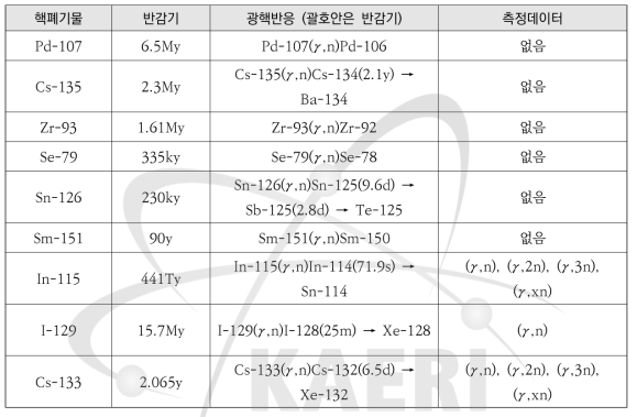 광핵반응을 통한 핵변환이 가능한 핵폐기물