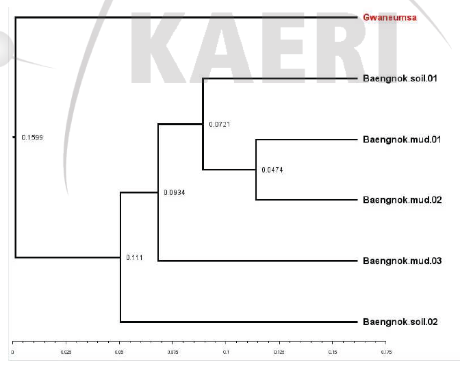 Microbiota 분석 결과에 따른 Phylogeny tree 비교