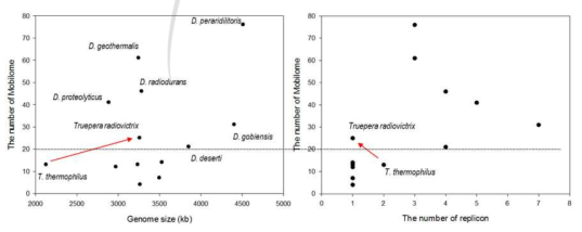 방사선 저항성 미생물의 mobile element와 genome size 분석