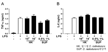 열사멸 D. radiodurans과 배양액의 감염성 염증반응 제어 효능 평가