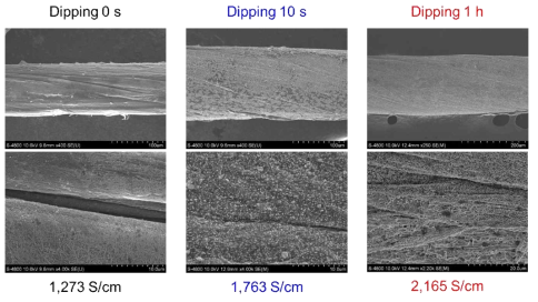 Dipping 시간에 따라 형성된 복합 와이어의 SEM 사진 및 전기전도도