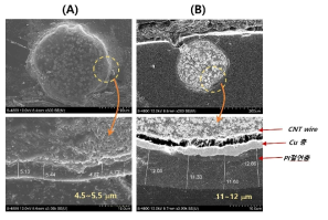 구리/카본와이어 PI코팅층 단면형상(SEM) : (A) ~5㎛, (B) ~10㎛