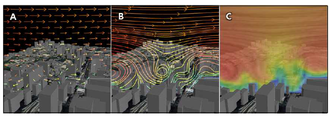 연직흐름도 가시화 기법 : A(바람벡터), B(유선), C(LIC 래스터)