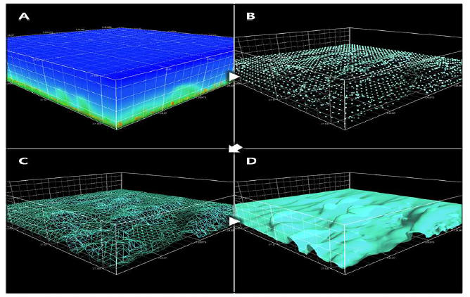 3D표면 변환 과정: A(3차원 격자자료 추출) -> B(점구름 point cloud 추출) -> C(망사 mesh 탐색) -> D(표면 isosurface 산출 변환)