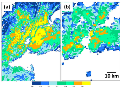 뉴욕에서 (a) 모수화 기법을 적용하여 모의한 토지피복온도장과 (b) 위성자료를 이용하여 측정한 토지피복온도장(Bauer, 2020)