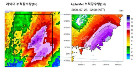 서울시 30m 해상도 강수분석장 결과 및 레이더 누적 강수량과의 비교 (1시간 누적)